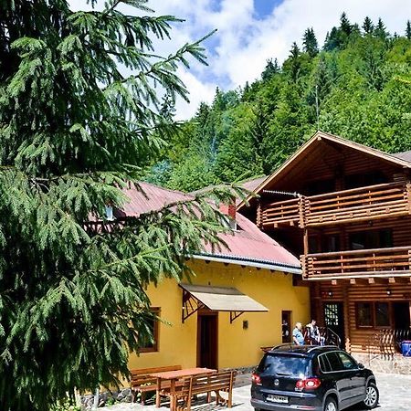 Cabana Bradul Rodna Екстериор снимка