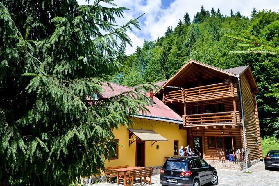 Cabana Bradul Rodna Екстериор снимка