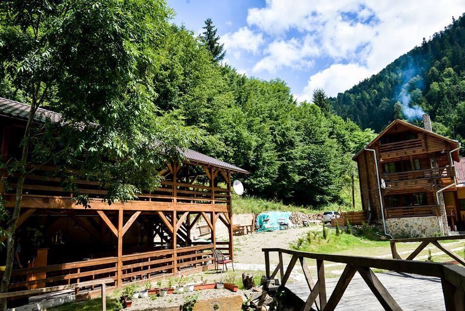 Cabana Bradul Rodna Екстериор снимка